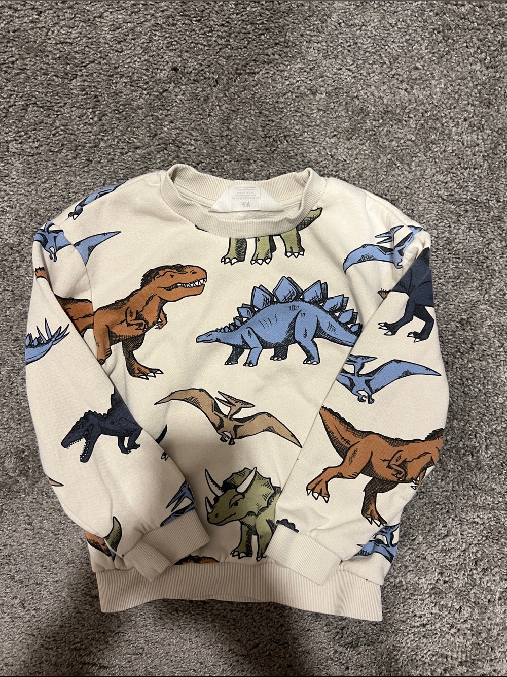 H&M Cream Sweatshirt with Blue, Brown & Green Dinosaurs